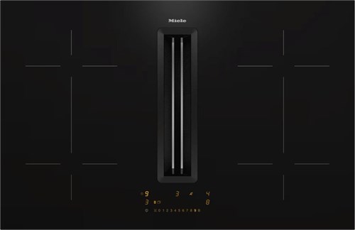 Bếp Từ Induction